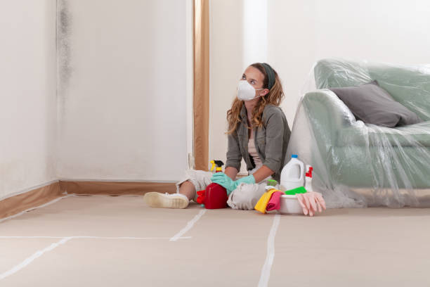 Reliable Mold Remediation contractor in Allendale, MI by Mold Remediation HQ